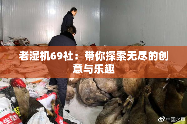 老湿机69社：带你探索无尽的创意与乐趣