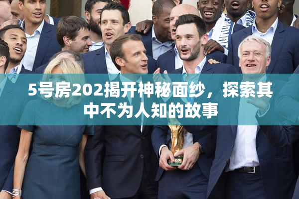 5号房202揭开神秘面纱，探索其中不为人知的故事
