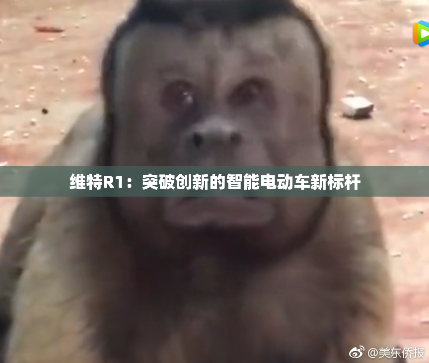 维特R1：突破创新的智能电动车新标杆