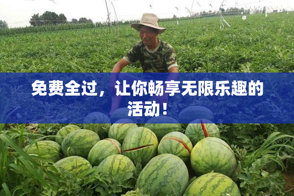 免费全过，让你畅享无限乐趣的活动！