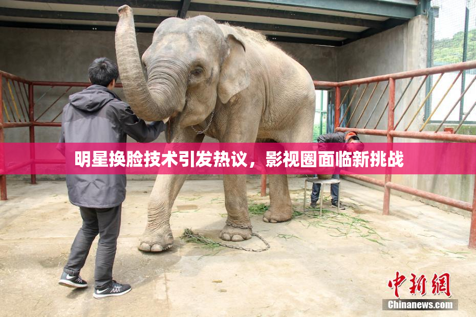 明星换脸技术引发热议，影视圈面临新挑战