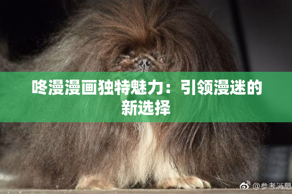 咚漫漫画独特魅力：引领漫迷的新选择