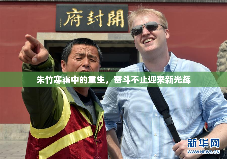 朱竹寒霜中的重生，奋斗不止迎来新光辉