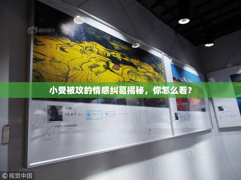 小受被攻的情感纠葛揭秘，你怎么看？
