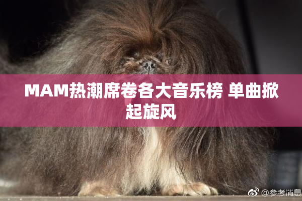 MAM热潮席卷各大音乐榜 单曲掀起旋风