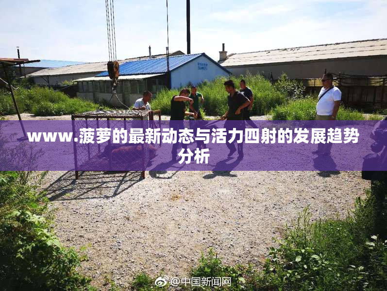 www.菠萝的最新动态与活力四射的发展趋势分析