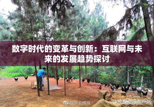 数字时代的变革与创新：互联网与未来的发展趋势探讨