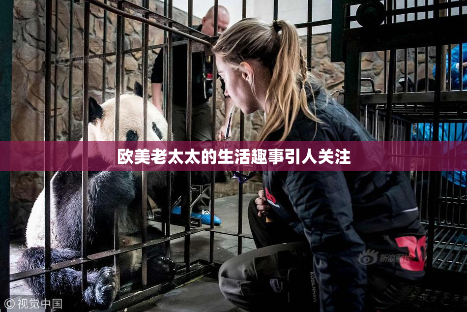 欧美老太太的生活趣事引人关注