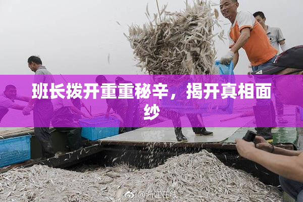 班长拨开重重秘辛，揭开真相面纱