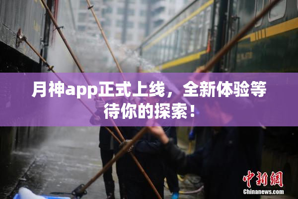 月神app正式上线，全新体验等待你的探索！