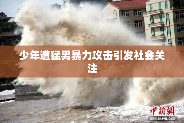 少年遭猛男暴力攻击引发社会关注
