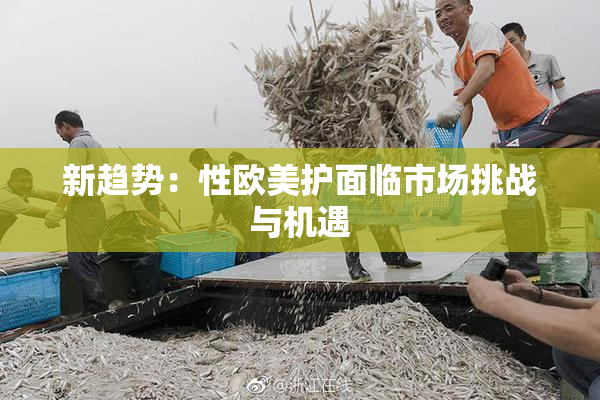 新趋势：性欧美护面临市场挑战与机遇