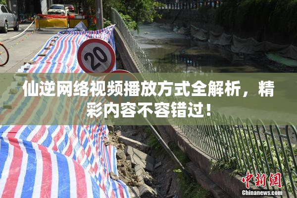 仙逆网络视频播放方式全解析，精彩内容不容错过！