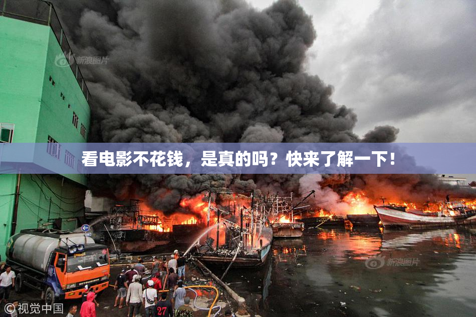 看电影不花钱，是真的吗？快来了解一下！