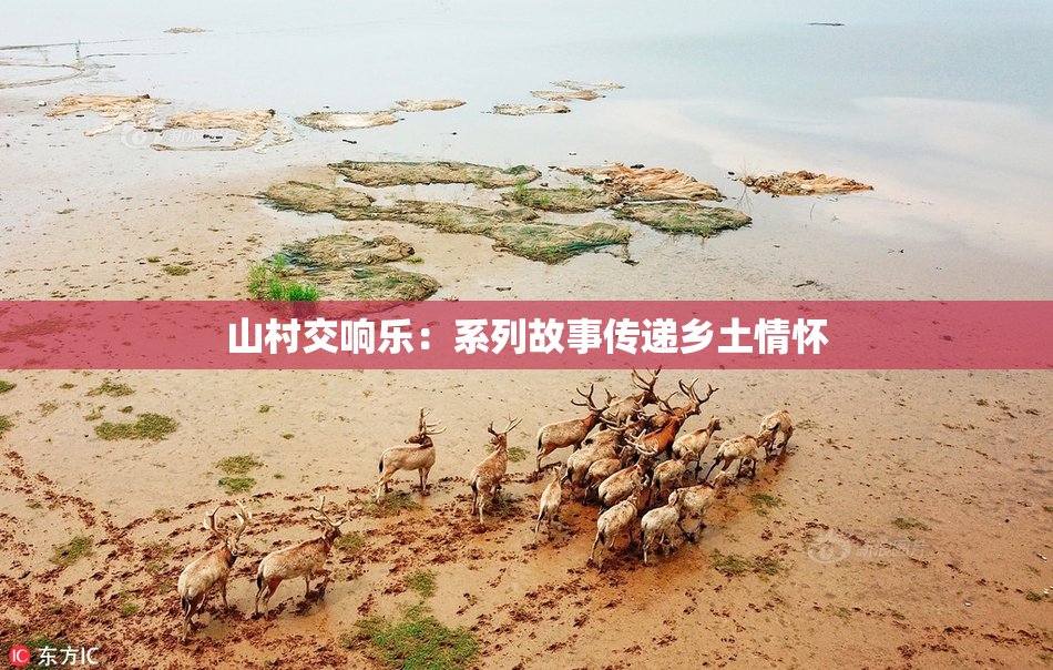 山村交响乐：系列故事传递乡土情怀