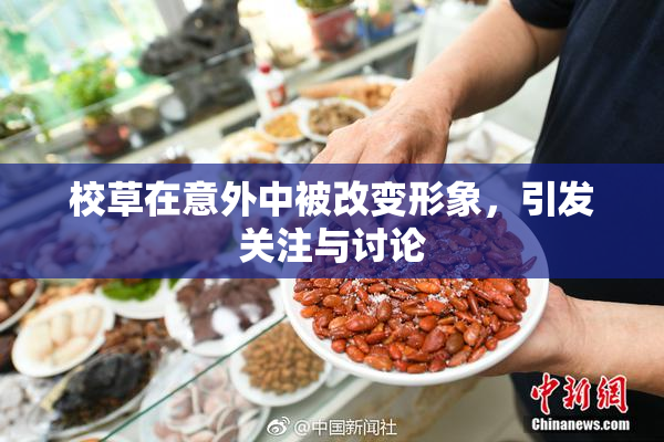 校草在意外中被改变形象，引发关注与讨论