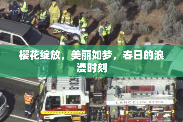 樱花绽放，美丽如梦，春日的浪漫时刻
