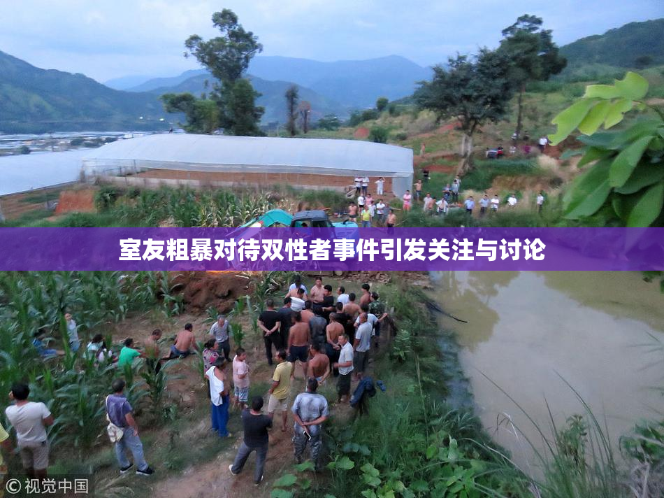 室友粗暴对待双性者事件引发关注与讨论