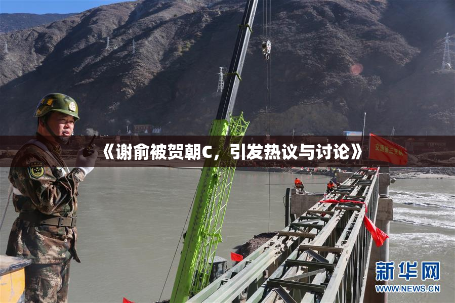《谢俞被贺朝C，引发热议与讨论》