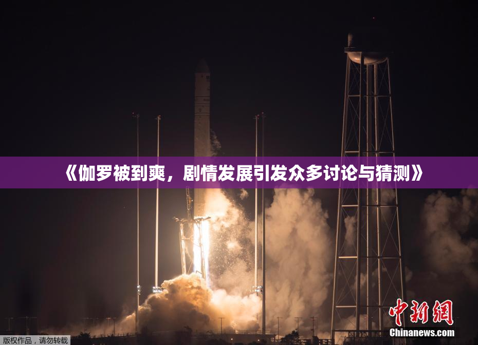 《伽罗被到爽，剧情发展引发众多讨论与猜测》
