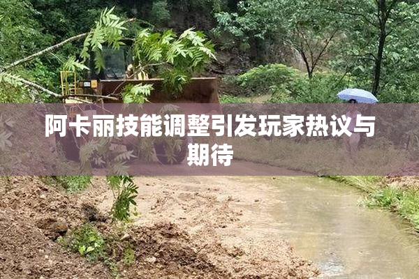 阿卡丽技能调整引发玩家热议与期待
