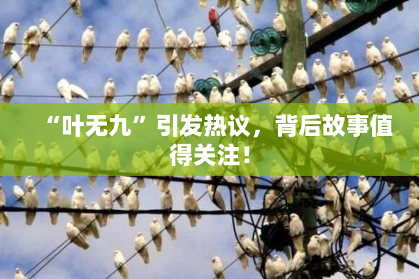 “叶无九”引发热议，背后故事值得关注！