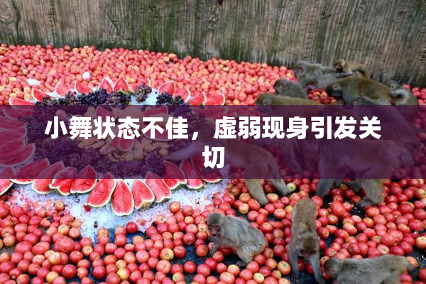 小舞状态不佳，虚弱现身引发关切