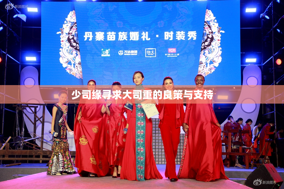 少司缘寻求大司重的良策与支持