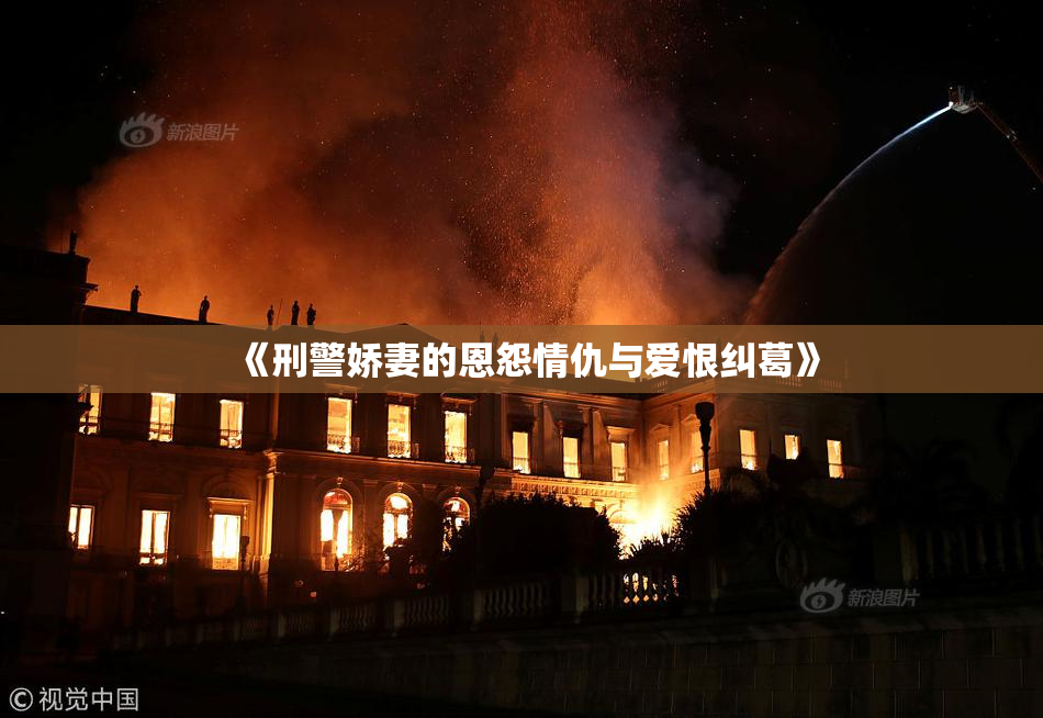 《刑警娇妻的恩怨情仇与爱恨纠葛》