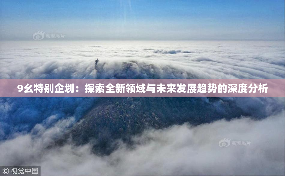 9幺特别企划：探索全新领域与未来发展趋势的深度分析