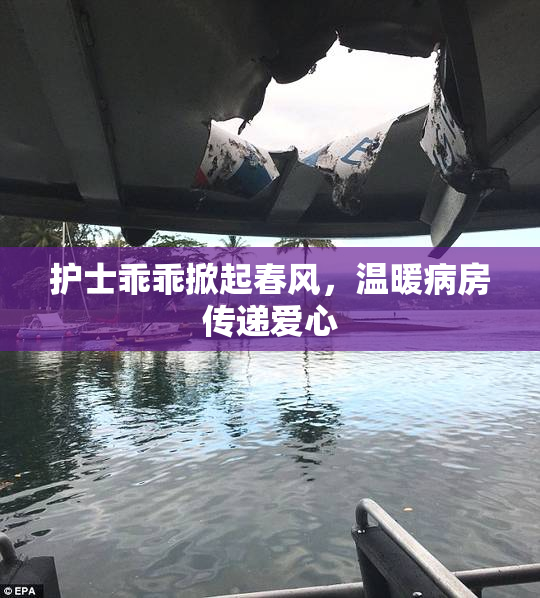 护士乖乖掀起春风，温暖病房传递爱心