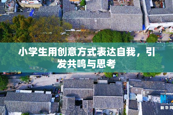 小学生用创意方式表达自我，引发共鸣与思考
