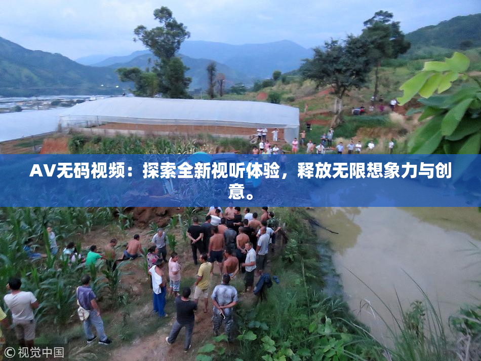 AV无码视频：探索全新视听体验，释放无限想象力与创意。