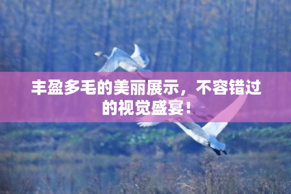 丰盈多毛的美丽展示，不容错过的视觉盛宴！