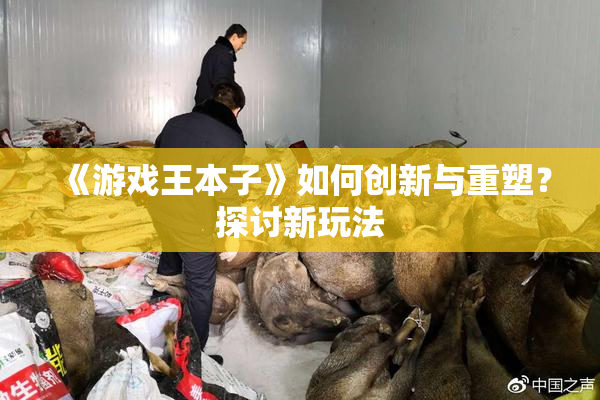 《游戏王本子》如何创新与重塑？探讨新玩法