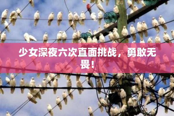 少女深夜六次直面挑战，勇敢无畏！