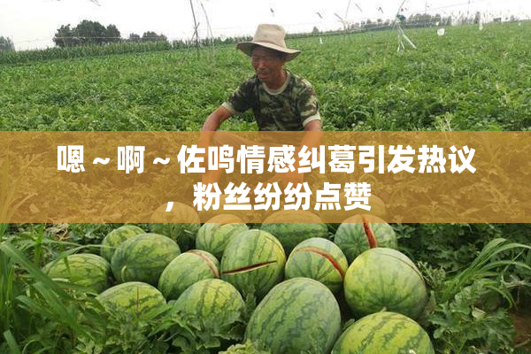 嗯～啊～佐鸣情感纠葛引发热议，粉丝纷纷点赞
