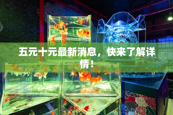 五元十元最新消息，快来了解详情！