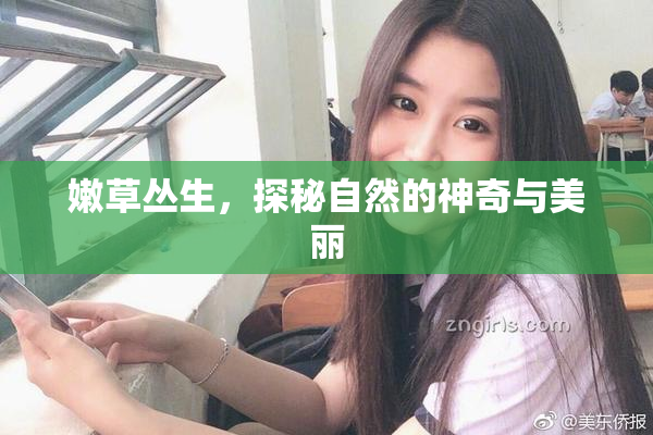 嫩草丛生，探秘自然的神奇与美丽