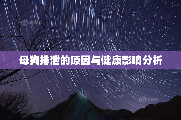 母狗排泄的原因与健康影响分析