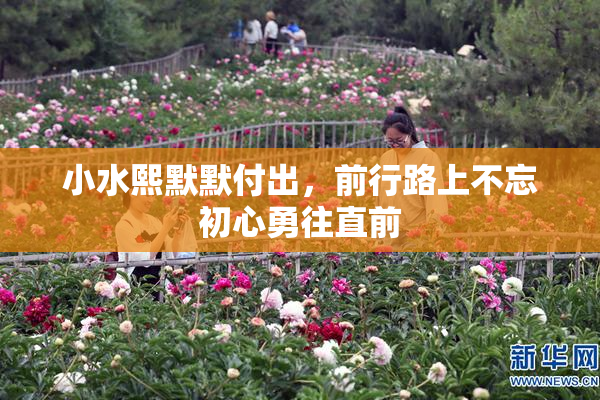 小水熙默默付出，前行路上不忘初心勇往直前