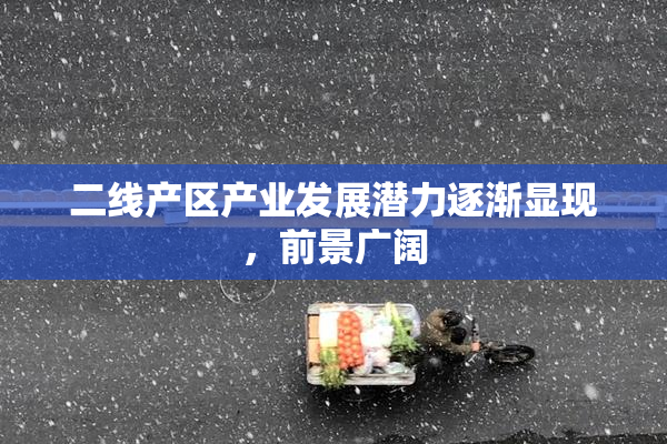 二线产区产业发展潜力逐渐显现，前景广阔