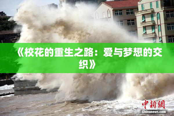 《校花的重生之路：爱与梦想的交织》