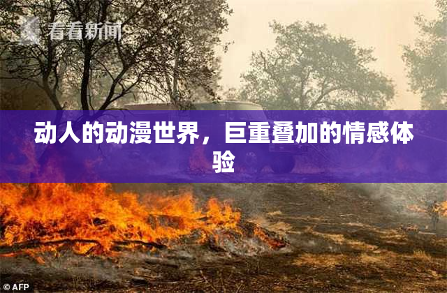 动人的动漫世界，巨重叠加的情感体验
