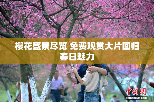 樱花盛景尽览 免费观赏大片回归春日魅力