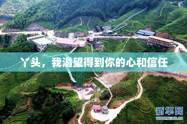 丫头，我渴望得到你的心和信任