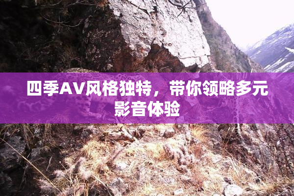 四季AV风格独特，带你领略多元影音体验