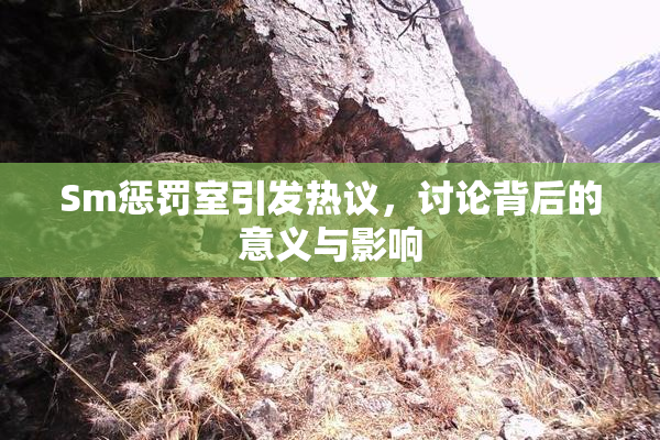 Sm惩罚室引发热议，讨论背后的意义与影响