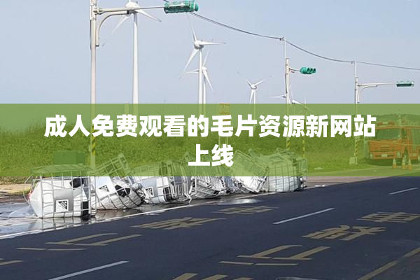 成人免费观看的毛片资源新网站上线