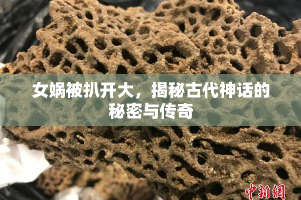 女娲被扒开大，揭秘古代神话的秘密与传奇